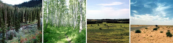 Природные зоны умеренных поясов. Слева направо: тайга (Саяны), широколиственный лес (Красноярский край), степь (Ставрополье), пустыня (Гоби)